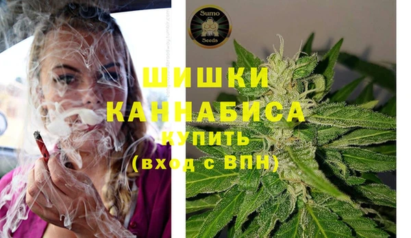ГАЛЛЮЦИНОГЕННЫЕ ГРИБЫ Кукмор