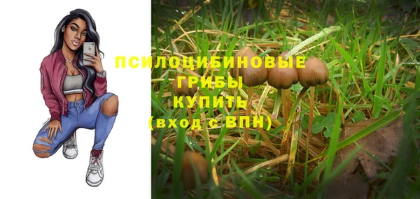 СК Лагань