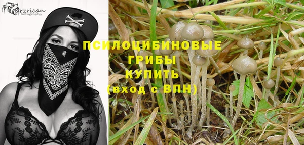 экстази Ладушкин