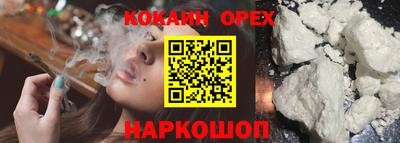 apvp Ливны