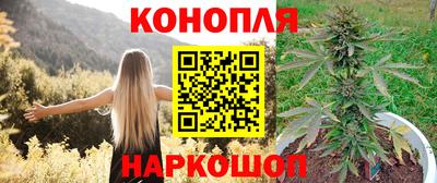 apvp Ливны