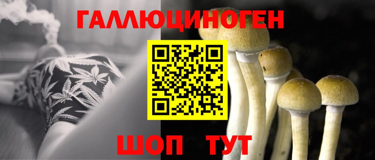 Псилоцибиновые грибы мицелий  Псилоцибиновые грибы GOLDEN TEACHER  Вход с VPN  Ржев 